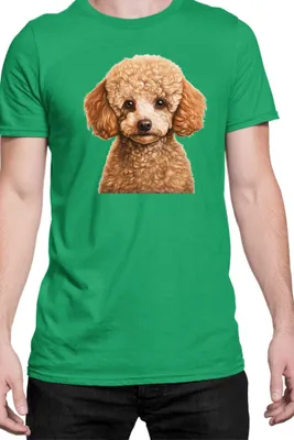Obrázok produktu pre Mužské Tričko Dogs Breeds Poodle Dog Breed 005, Man L / zelená