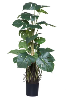 Immagine prodotto di Pianta artificiale MONSTERA in plastica, verde, 48x85 cm