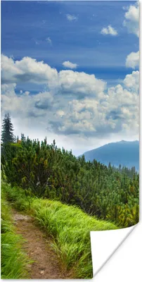 Produktbild von MuchoWow® Poster Wald - Pfad - Berg 20x40 cm - Plakat - Foto