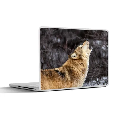 Produktbild von MuchoWow® Laptop Aufkleber Sticker Cover Wolf - Winter - Wald 30x22 cm - Laptop-Sticker