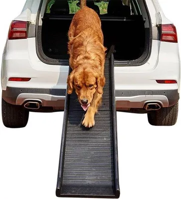 Image de Support pour chien en plastique, 157,5 x 39,5 x 8,5 cm, avec revêtement antidérapant, pliable