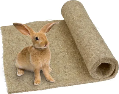 Produktbild von Kerbl Hanfmatte Für Nagetiere Beige 60x120x1 cm Beige 60x120x1 cm