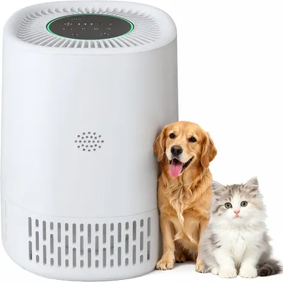 Produktbild von Luftreiniger Für Allergiker H13 HEPA Filter 23dB Leise Kindersicherung Timer Für Räume Bis 110 M² PJ07