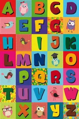 Produktbild von Schule Kunstdruck Bild - Vogelalphabet (120 x 80 cm)