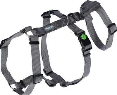Produktbild von Kerbl Hundegeschirr Panikgeschirr, grau, Halsumfang 38-52 cm, verstellbar
