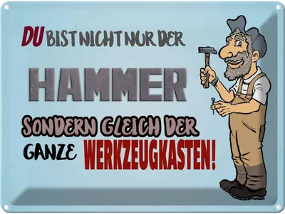 Produktbild von vianmo Blechschild 30x40 cm du Bist nicht nur der Hammer Spruch Zitat