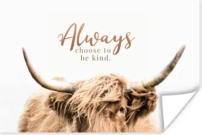 Produktbild von MuchoWow® Poster Schottischer Highlander - Zitat - Tier 180x120 cm - Fotoplakat