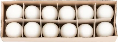 Produktbild von Enteneier Natur 12 Stück, ausgeblasen und gereinigt | Echte ausgeblasene Enteneier
