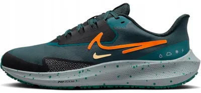 Image de Chaussures Nike Air Zoom Pegasus 39 Shield DO7625300