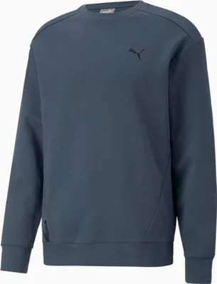 Produktbild von Puma Sweatshirts Radcal Crew, 67331716, Größe: 170