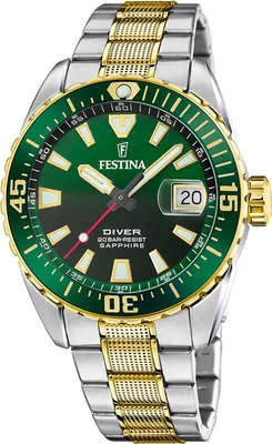 Image de Festina - F20706/2 - Montre-bracelet - Hommes