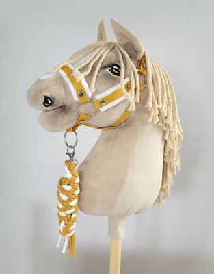 Image de Licol pour cheval d'arçon - écurie - doux et confortable, réglable et durable
