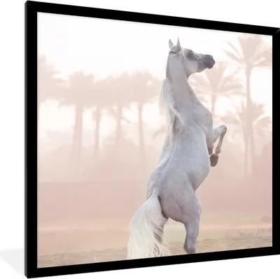 Produktbild von MuchoWow® Gerahmtes Poster Pferd - Sand - Palme 40x40 cm - Poster mit Schwarzem Bilderrahmen Wandposter Rahmen Foto Bilder - Mit Rahmen - Wanddekoration Schlafzimmer