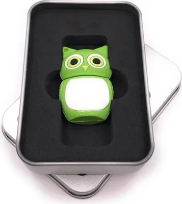Produktbild von Onwomania Eule Vogel in Grün USB Stick in Alu Geschenkbox 8 GB USB 2.0
