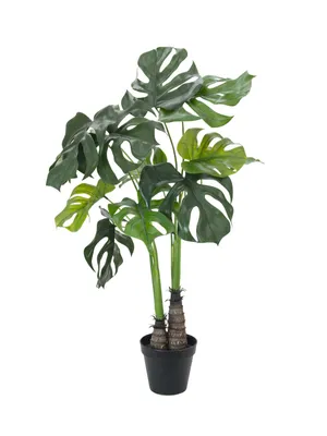 Image de EUROPALMS Monstera deliciosa, plante artificielle, 90cm