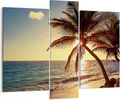 Produktbild von Bild auf Leinwand - Leinwandbild - Wolke exotischer Palm- Landschaft - 95x80cm - Wand Bild - Wanddeko - Leinwanddruck - Bilder - Kunstdruck - Leinwand bilder - Wandkunst - CB95x80-3180