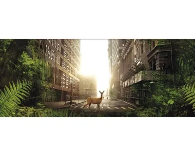 Produktbild von Glasbild Secret World 80x30 cm