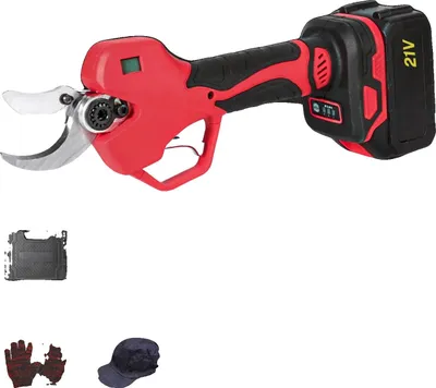 Image de Elagueuse électrique, moteur sans balai, design sans fil, 2 batteries, EU