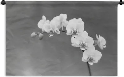 Produktbild von MuchoWow® Wandteppich Wandbehang Orchidee - Blumen - Pflanze - Weiß - Lila 60x40 cm Tapisserie Dekoration Wandtuch - Wanddekorationen