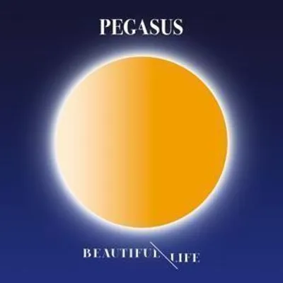 Produktbild von Beautiful Life