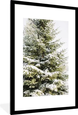 Produktbild von MuchoWow® Gerahmtes Poster Winter - Schnee - Baum 60x90 cm - Poster mit Schwarzem Bilderrahmen Wandposter Rahmen Foto Bilder - Dekoration - Wandposter Wohnzimmer - Hochwertig
