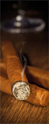 Produktbild von Wallario Poster - Zigarre am Abend, Kunstdruck Größe: 50 x 125 cm
