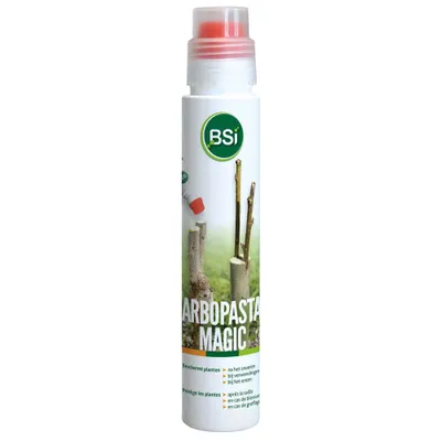 Image de Pâte BSI Arbopasta Magic 250 grammes