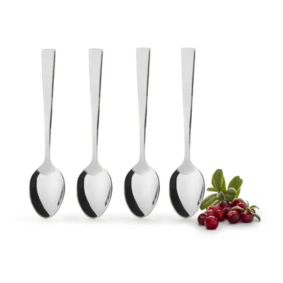 Immagine prodotto di Sagaform cucchiaini 4 pezzi, acciaio inox, 13 cm, argento