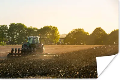 Produktbild von MuchoWow® Poster Traktor - Vogel - Land 30x20 cm - Plakate - Print