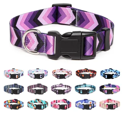 Produktbild von Hundehalsband aus Nylon, verstellbar und bequem für Hunde und Katzen