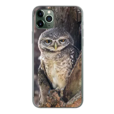 Produktbild von MuchoWow® Handyhülle Schutzhülle Hülle für iPhone 11 Pro Max Eule - Baum - Wald Silikon Softcase Handy Hülle - Schutz