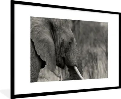 Produktbild von MuchoWow® MuchoWow® Gerahmtes Poster Elefant - Tiere - Schwarz - Weiß 90x60 cm - Poster mit zchwarzem Bilderrahmen - Wanddekoration - Fotos