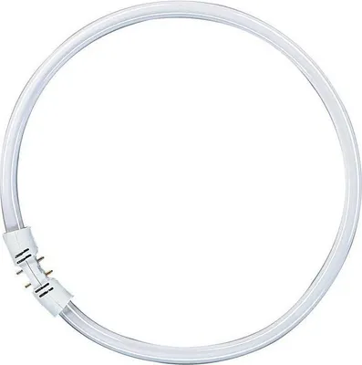 A circular fluorescent light bulb on a white background.