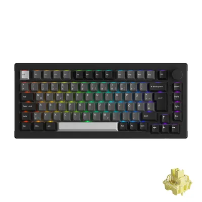 Obrázok produktu pre Akko 5075B Plus RGB herná mechanická klávesnica 75% nemecké rozloženie QWERTZ (čierno-strieborná, lineárne spínače)