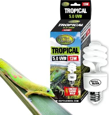 Immagine prodotto di REPTILE NOVA 5.0 UVB 13W - Lampada fluorescente per rettili tropicali | UVA + UVB