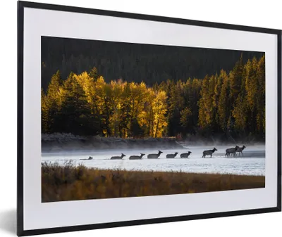 Produktbild von MuchoWow® MuchoWow® Gerahmtes Poster Hirsch - Wald - Fluss 60x40 cm - Poster mit zchwarzem Bilderrahmen - Schlafzimmer - Plakat in Rahmen - Drucken