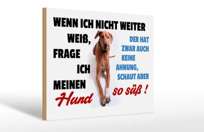 Produktbild von Holzschild Spruch 30x20cm wenn ich nicht weiter weiß Hund