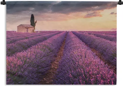 Produktbild von MuchoWow® Wandteppich Wandbehang Lavendel - Blumen - Lila - Feld 150x112.50 cm Tapisserie Dekoration Wandtuch - Wanddecke - Wandteppiche