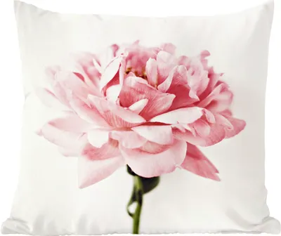 Produktbild von MuchoWow® Zierkissen Sofakissen Wohnzimmer Dekokissen 60x60 cm Nahaufnahme einer rosa Pfingstrose - Sitzfläche - Foto Polster