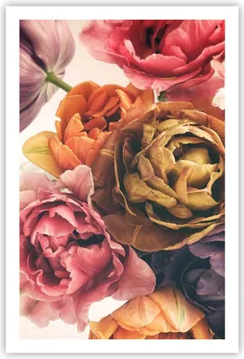 Produktbild von Poster - Poster ohne Rahmen - Blumenstrauß Blumen Braut - 61x91,5 cm - Wand Bild - Wanddeko - Wandbilder - Kunstposter - Wandposter - Bilder - Kunstdruck - Wanddekoration - Wandbild - P2XPA61x91-5025