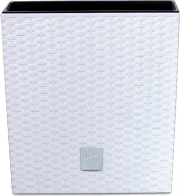 A white woven planter pot.