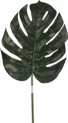 Immagine prodotto di Mica Decorations Fiore artificiale Monstera - 88x1x1 cm - Poliestere - Verde
