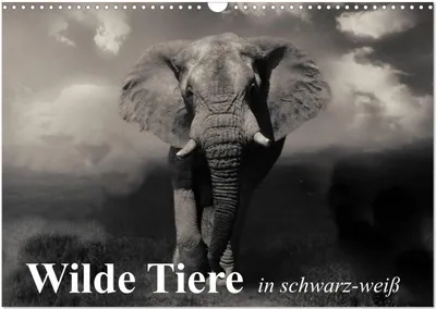 Produktbild von Wilde Tiere in schwarz-weiß (Wandkalender 2026 DIN A3 quer), CALVENDO Monatskalender