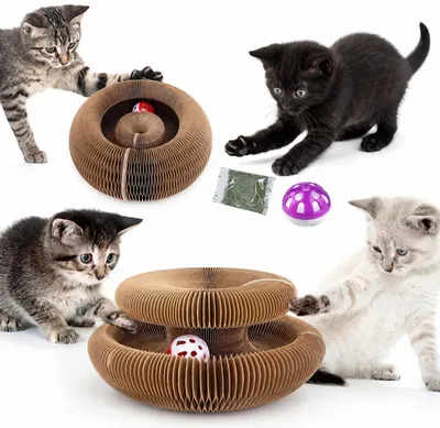 Produktbild von Katzen Kratzspielzeug Kratzbrett Pappe faltbar mit Katzenminze, KI-generiertes Bild