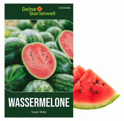 Produktbild von Wassermelonen Sugar Baby Samen - Citrullus lanatus - Wassermelonensamen - Obstsamen - Saatgut für 10 Pflanzen