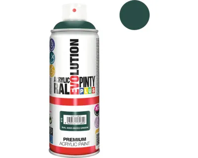 Produktbild von Sprühfarbe Pintyplus Evolution RAL 6005 300 ml Moss Green
