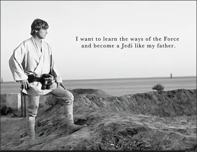 Produktbild von Disney Poster Star Wars Luke Skywalker Schwarz-Weiß - 610258 - 50 x 40 cm