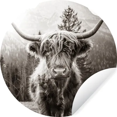 Produktbild von MuchoWow® Runde Wandtattoo - Wandsticker Tapete Aufkleber Schottischer Highlander - Tiere - Schwarz - Weiß Ø 30 cm Selbstklebend und Repositionierbar - Wandaufkleber - Kreis - Wandbild - Fototapete - Selbstklebend - Dekoration - Wandschmuck - Schlafzimmer