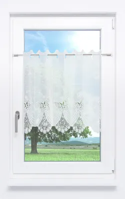 Produktbild von Scheibengardine Plauener Spitze - Tamar  (Bx H) 144cm * 63cm weiß/Rohweiß