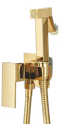 Produktbild von Bidetarmatur, Messingkonstruktion, Wandmontage-Design, Glänzendes Gold